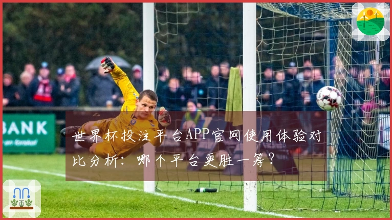 世界杯投注平台APP官网使用体验对比分析：哪个平台更胜一筹？