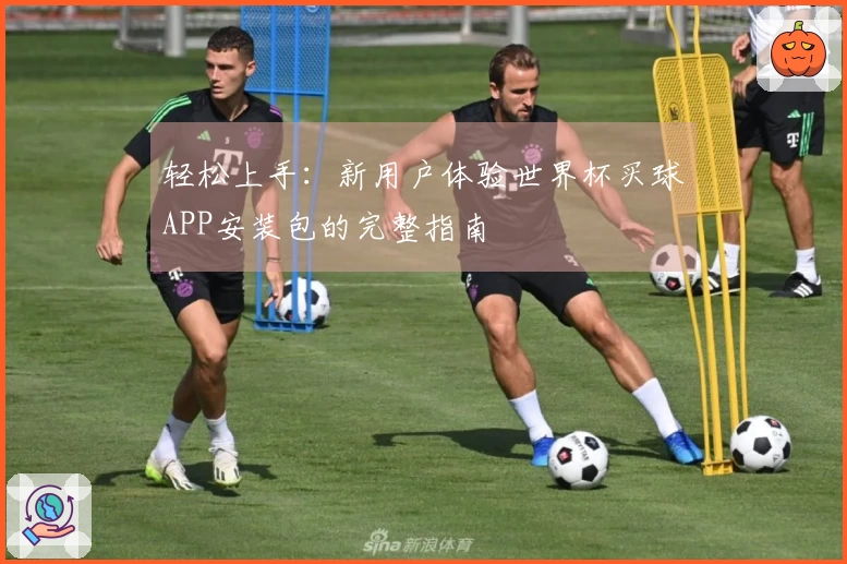 轻松上手：新用户体验世界杯买球APP安装包的完整指南