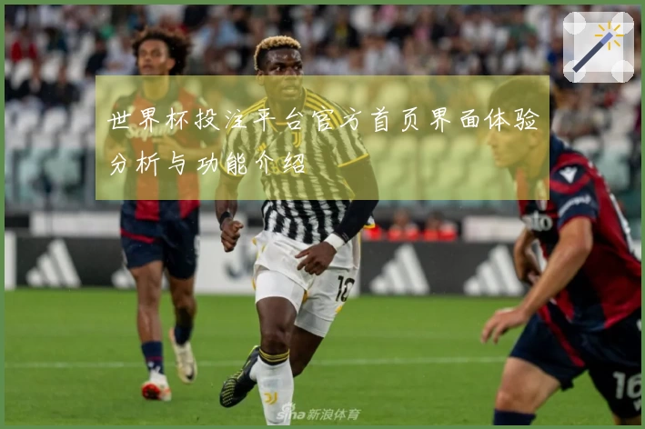 世界杯投注平台官方首页界面体验分析与功能介绍