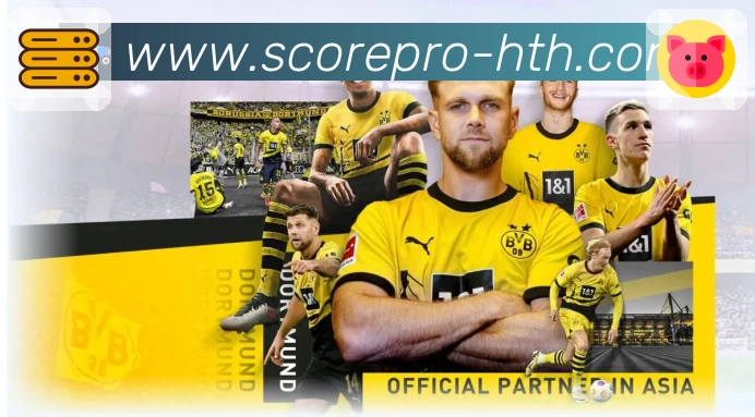 华体会多语言客服